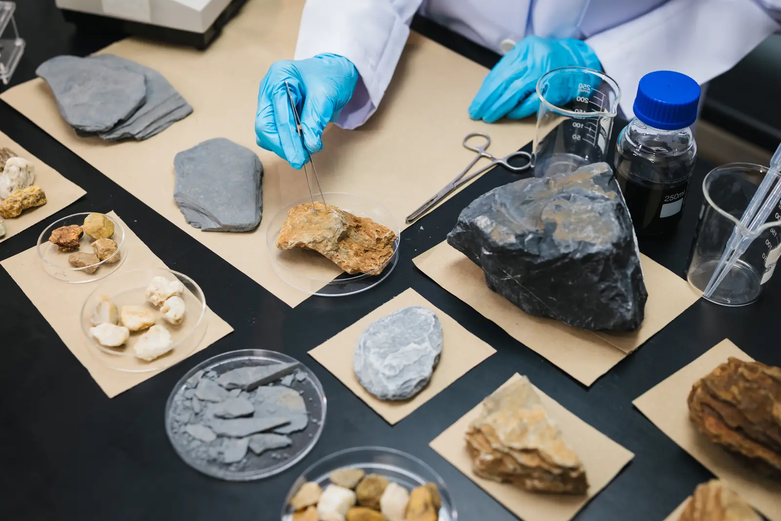 Assay laboratory. Stock photo.